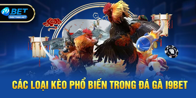 Các Loại Kèo Phổ Biến Trong Đá gà i9bet
